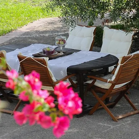 Olivos Sani Sani (Chalkidiki)