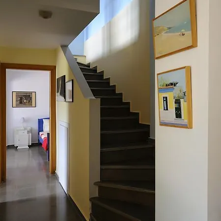 Olivos Sani Sani (Chalkidiki)