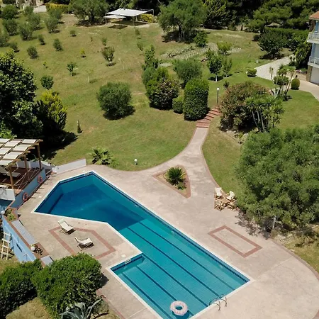 Olivos Sani Sani (Chalkidiki)