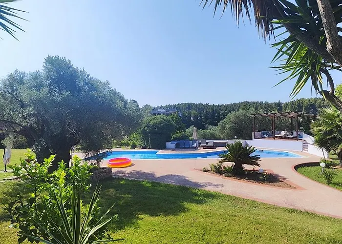 Olivos Sani *