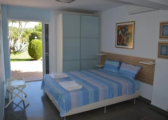 Olivos Sani * Sani (Chalkidiki)