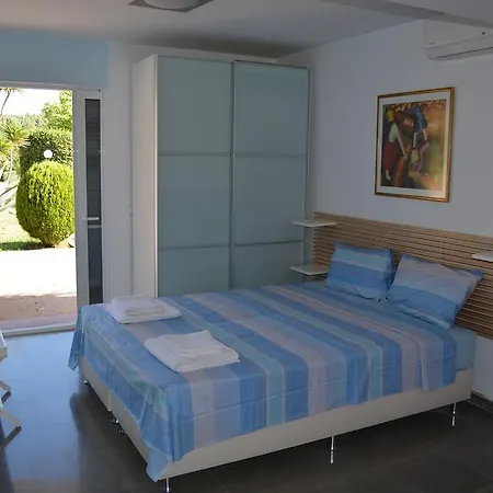 Olivos Sani * Sani (Chalkidiki)