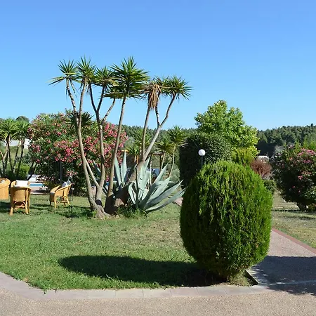 Olivos Sani * Sani (Chalkidiki)