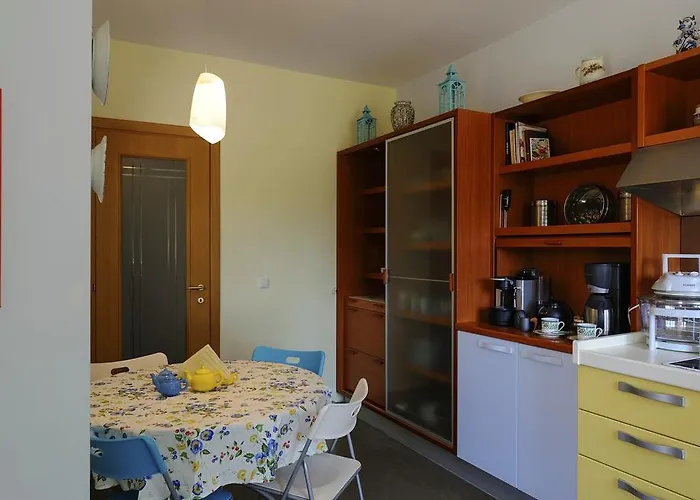 Olivos Sani Vilă Sani (Chalkidiki)