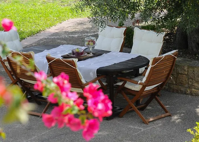 Olivos Sani Sani (Chalkidiki)
