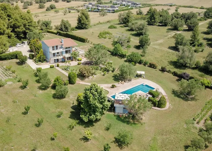 Olivos Sani Vilă *