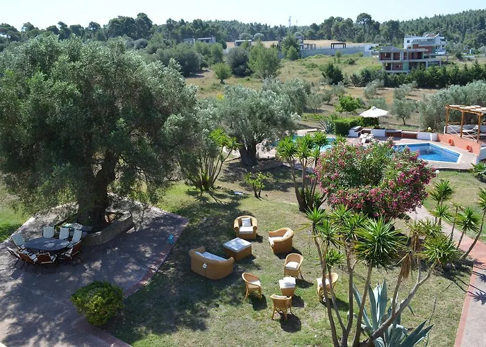 Olivos Sani Vilă Sani (Chalkidiki)