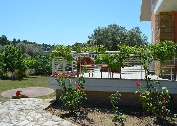 Olivos Sani Vilă Sani (Chalkidiki)