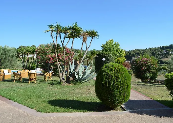 Olivos Sani * Sani (Chalkidiki)